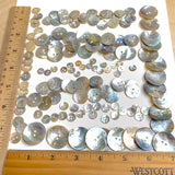 BULK DEAL 7 Sizes MIX: 140 Moonrise Shell Buttons, 20 Per Size, Natural Agoya MOP, Thin Glowing  # LP-134