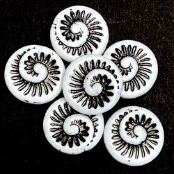 Black + White Ammonite Swirl, Czech Glass Opaque Beads 11/16" / 18mm, Pack of 6 Beads  #L-340
