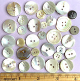 White Shell Stragglers, One Pound Mixed Sizes/Styles: 300+ Mostly MOP Pearl Shell Buttons, $27.00  #D-1025