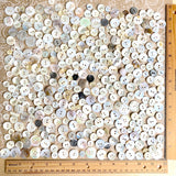 White Shell Stragglers, One Pound Mixed Sizes/Styles: 300+ Mostly MOP Pearl Shell Buttons, $27.00  #D-1025