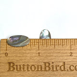 Re-Stocked, Abalone Mother of Pearl Cabochon Ovals, 3/4" x 1/2", Color Mix, Glowing Natural, No Holes, Pack of 36 Pieces #CL-16