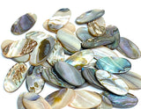 Re-Stocked, Abalone Mother of Pearl Cabochon Ovals, 3/4" x 1/2", Color Mix, Glowing Natural, No Holes, Pack of 36 Pieces #CL-16