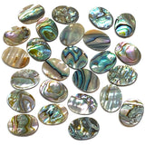 Abalone Cabochon Ovals Including Strong Colors, 5/8" x 1/2", Pack of 65 #CL-22