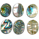 Abalone Cabochon Ovals Including Strong Colors, 5/8" x 1/2", Pack of 65 #CL-22