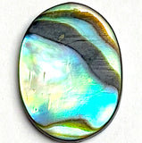 Abalone Cabochon Ovals Including Strong Colors, 5/8" x 1/2", Pack of 65 #CL-22