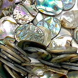 Abalone Cabochon Ovals Including Strong Colors, 5/8" x 1/2", Pack of 65 #CL-22