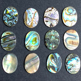 Abalone Cabochon Ovals Including Strong Colors, 5/8" x 1/2", Pack of 65 #CL-22
