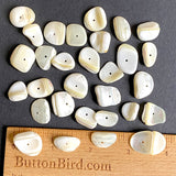 Naturally Abstract Wavy Shell Beads, White-Ivory MOP Various Sizes, Pack of 30-34 Beads #CL-24