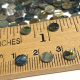 Tiniest Micro Abalone Spots, 5mm / 3/16" Round 2-Sided, No Holes Pack of 144 Cabochons #CL-25