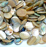Abalone Cabochon Ovals Mostly Tans/Neutrals, 3/8" x 5/16", Pack of 288 Ovals, #CL-26