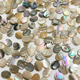 Abalone Cabochon Ovals Mostly Tans/Neutrals, 3/8" x 5/16", Pack of 288 Ovals, #CL-26