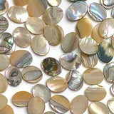 Abalone Cabochon Ovals Mostly Tans/Neutrals, 3/8" x 5/16", Pack of 288 Ovals, #CL-26