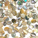 Abalone Cabochon Ovals Mostly Tans/Neutrals, 3/8" x 5/16", Pack of 288 Ovals, #CL-26