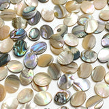 Abalone Cabochon Ovals Mostly Tans/Neutrals, 3/8" x 5/16", Pack of 288 Ovals, #CL-26