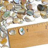 Abalone Cabochon Ovals Mostly Tans/Neutrals, 3/8" x 5/16", Pack of 288 Ovals, #CL-26