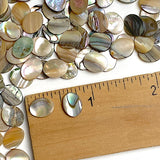 Abalone Cabochon Ovals Mostly Tans/Neutrals, 3/8" x 5/16", Pack of 288 Ovals, #CL-26