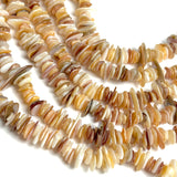 Ocean Poetry, Naturally Abstract Shell Beads, Pearly Browns MOP Various Sizes, Pack of 270+ Beads #LP-141