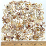 Ocean Poetry, Naturally Abstract Shell Beads, Pearly Browns MOP Various Sizes, Pack of 270+ Beads #LP-141