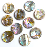 Classic Rainbow-Kissed Abalone Neutrals, 13/16" Two-Hole Button 20mm, Pack of 12 #KB-909