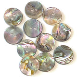 Classic Rainbow-Kissed Abalone Neutrals, 13/16" Two-Hole Button 20mm, Pack of 12 #KB-909