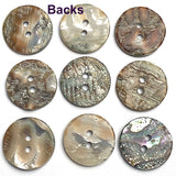 Classic Rainbow-Kissed Abalone Neutrals, 13/16" Two-Hole Button 20mm, Pack of 12 #KB-909