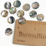 Classic Rainbow-Kissed Abalone Neutrals, MOP 11mm / 7/16" Two-Hole Buttons, Pack of 12, #KB-939
