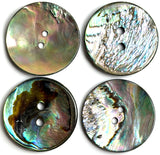 Re-Stocked Abalone Natural Incredible Large Dramatic Greens/Blues 2-Hole Button 1-1/8"  #SK-0037