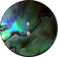 Re-Stocked Abalone Natural Incredible Large Dramatic Greens/Blues 2-Hole Button 1-1/8"  #SK-0037