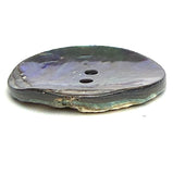 Re-Stocked Abalone Natural Incredible Large Dramatic Greens/Blues 2-Hole Button 1-1/8"  #SK-0037