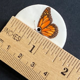 Monarch Butterfly, Large 1.5" Handmade Porcelain Button from UK Artist Kate Holliday 1-1/2"
