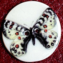 Butterfly with Brown Spots Porcelain Button: 7/8"