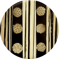 SALE, Bamboo Dots/Stripes, Black/Natural Bamboo Tan 1-3/16" Button #SK-665