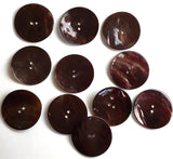 SALE Dark Brown Large Mother of Pearl 1-3/8" Shiny Shell 2-hole Button #D-490017