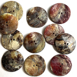 SALE Dark Brown Large Mother of Pearl 1-3/8" Shiny Shell 2-hole Button #D-490017