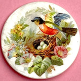 Restocked, Bird at Nest with Three Eggs Mother of Pearl Button by Susan Clarke, 1-3/8"