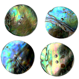 Re-Stocked SALE Abalone Natural Large Vivid Greens/Blues 2-Hole Button 1-1/8"  #SK-0037