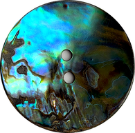 Re-Stocked SALE Abalone Natural Large Vivid Greens/Blues 2-Hole Button 1-1/8"  #SK-0037