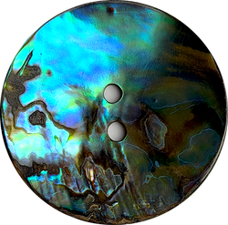Re-Stocked SALE Abalone Natural Large Vivid Greens/Blues 2-Hole Button 1-1/8"  #SK-0037
