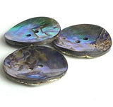 Re-Stocked SALE Abalone Natural Large Vivid Greens/Blues 2-Hole Button 1-1/8"  #SK-0037