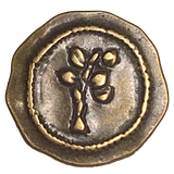 BULK DEAL, 50 Brass/Brown Metal Simple Tree Buttons, Shank Back 7/8"  #FJ-204