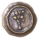 BULK DEAL, 50 Brass/Brown Metal Simple Tree Buttons, Shank Back 7/8"  #FJ-204