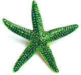 Starfish Button, Bright Green Metal Star Fish with Shank Back, by Susan Clarke   3/4"  # SC-633E