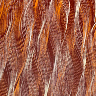 Rust/Cream/Orange Horse Tails, Vintage Kimono Chirimen Crepe Silk from Japan By the Yard #563
