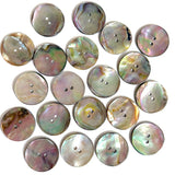 Re-Stocked, Classic Rainbow-Kissed Abalone Neutrals, Fairly Smooth, 1" Two-Hole Button 25mm  Pack of FIVE  #KB-924