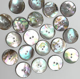 Re-Stocked, Classic Rainbow-Kissed Abalone Neutrals, Fairly Smooth, 1" Two-Hole Button 25mm  Pack of FIVE  #KB-924
