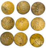 SALE Mustard Yellow-Brown Rustic Extra Large Coconut Button "Rustica"  2-1/4" Scooped