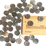 Re-Stocked, Graphite Silvery Charcoal 3/8" Tiny Shiny Iridescent Shell, 10mm Pack of 100 Buttons  # LP-48