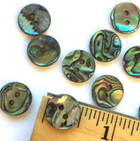 Re-Stocked, EIGHT Abalone 1/2" Vivid Greens/Blues Buttons 13mm, Pack of 8  #SK-0033