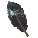 Re-Stocked, Feather, Black Metal Button, 1-1/8" by Susan Clarke, USA Made  #997-B