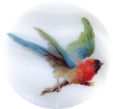 SALE Colorful Bird Mother of Pearl 1-3/8" Button, Susan Clarke USA, 1-3/8"